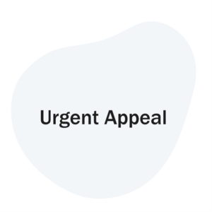 Urgent Appeal to Uphold Justice for Journalist Ahmed Maher Ahead of Upcoming Trial